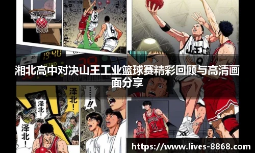 8868体育官网